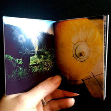 Load image into Gallery viewer, As Far As The Eye Can Travel 2017 Box Set in a handmade cardboard suitcase